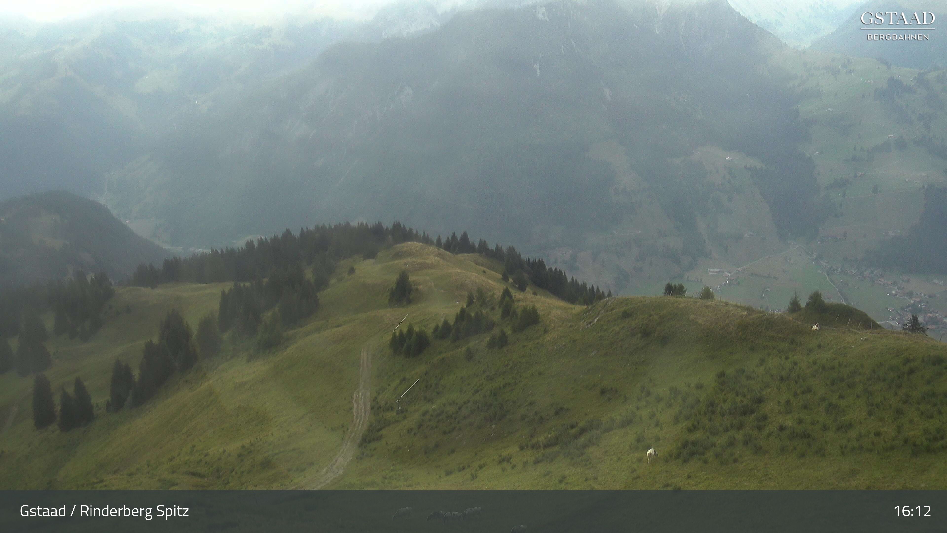 Zweisimmen: Gstaad - Rinderberg Spitz, Piste