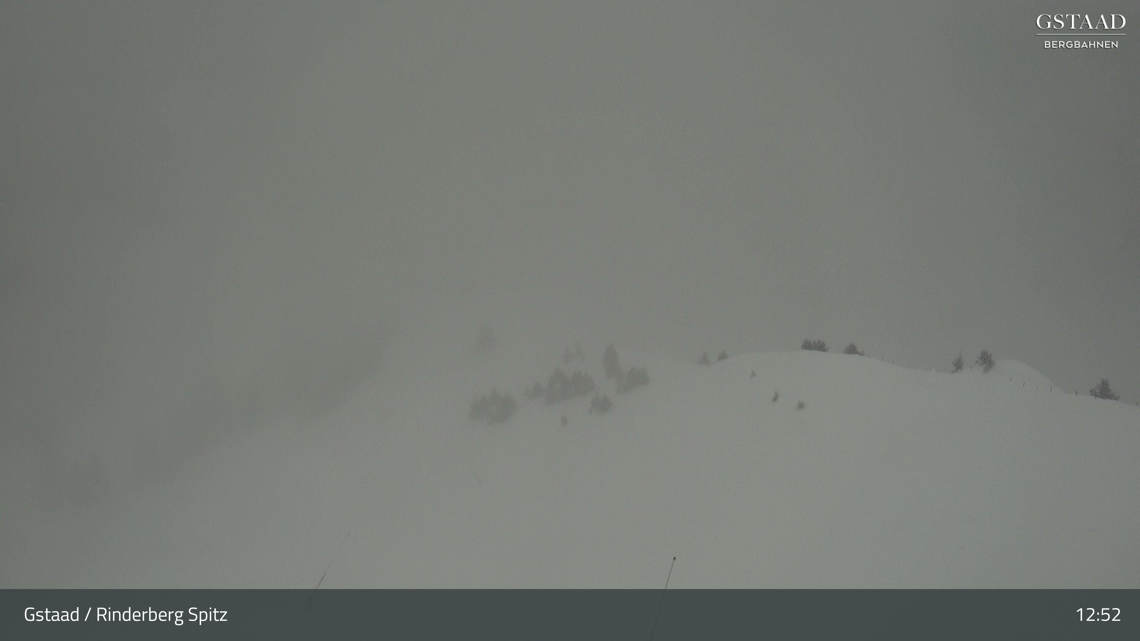 Zweisimmen: Gstaad - Rinderberg Spitz, Piste