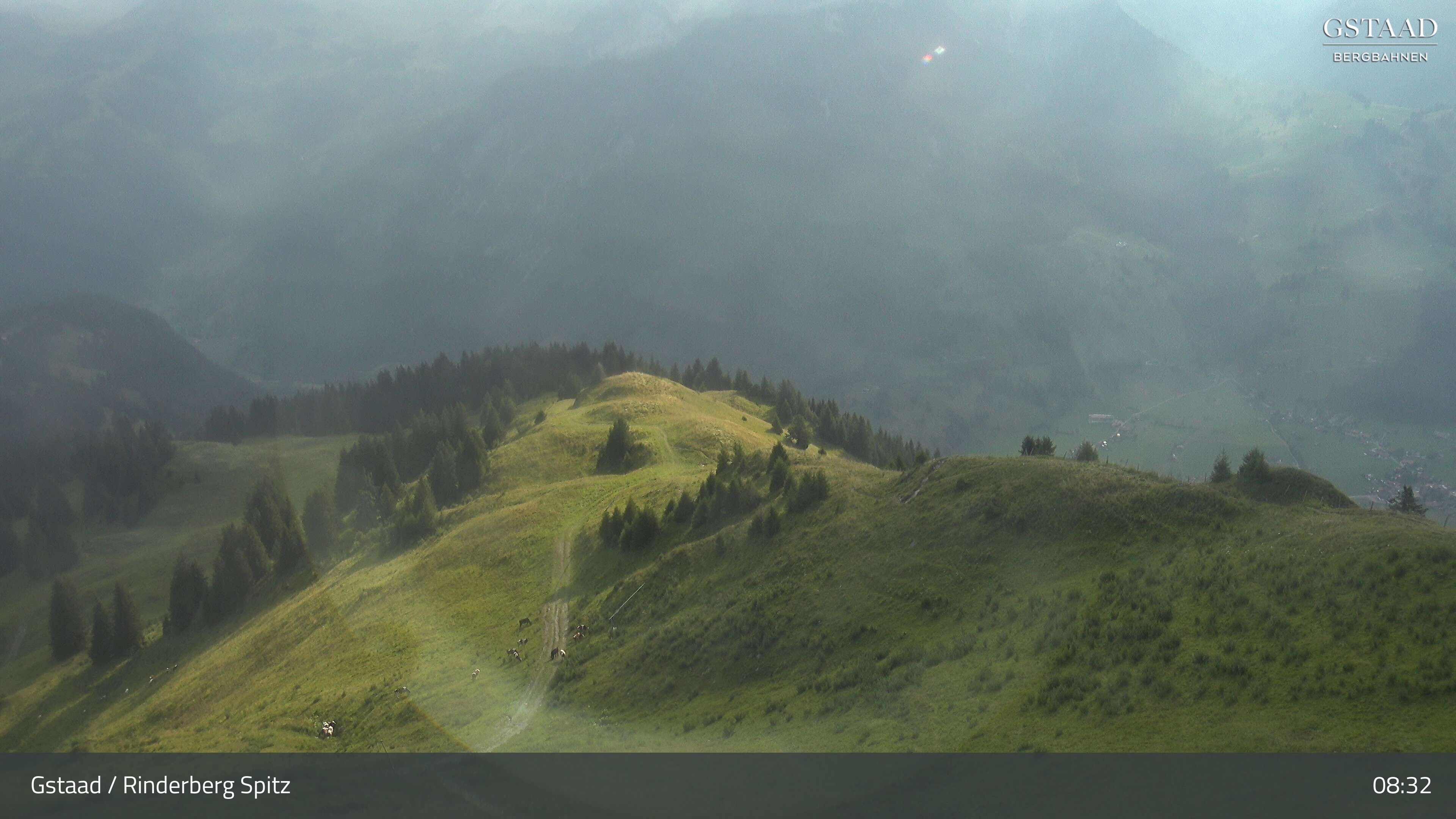 Zweisimmen: Gstaad - Rinderberg Spitz, Piste