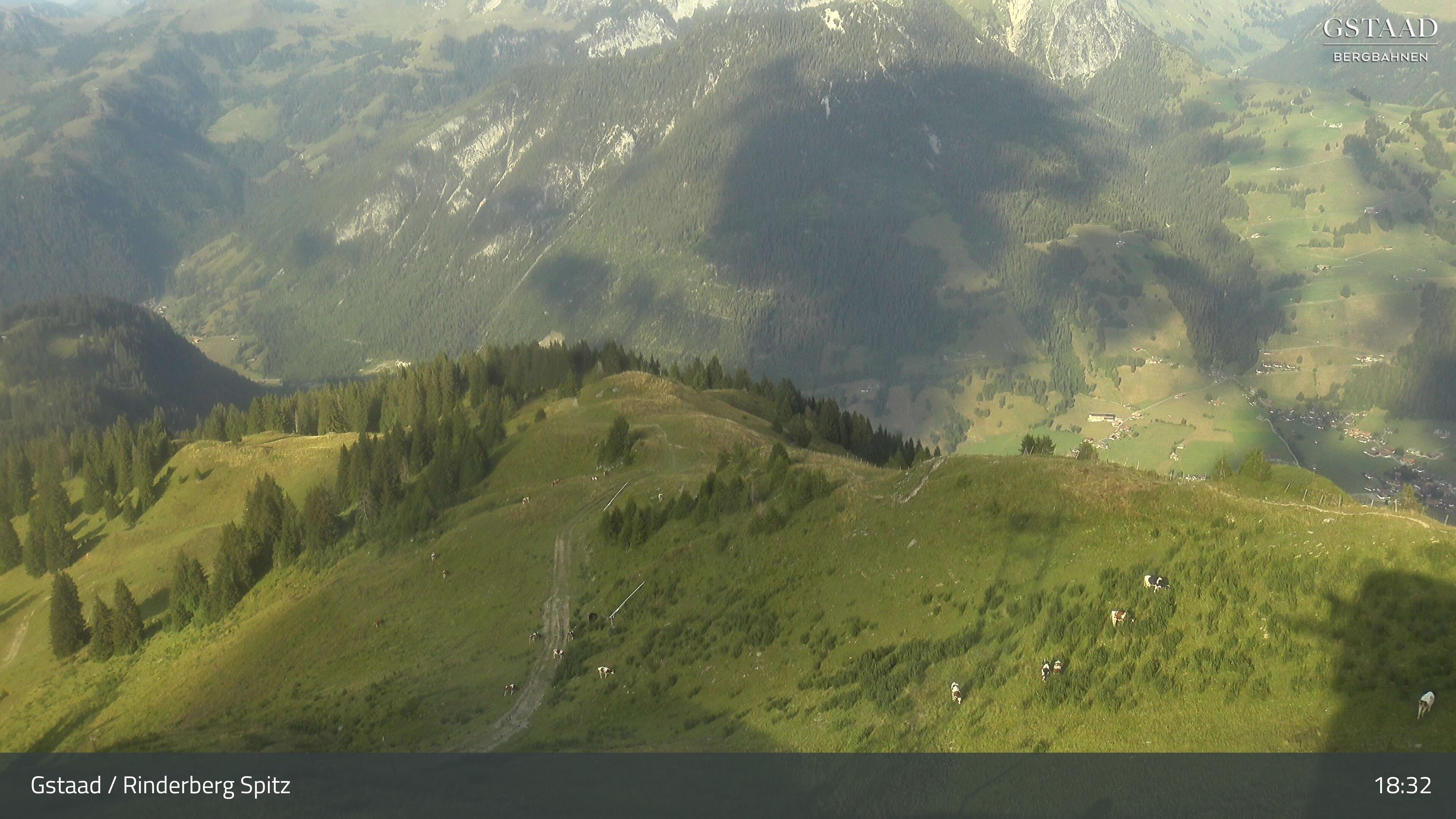 Zweisimmen: Gstaad - Rinderberg Spitz, Piste