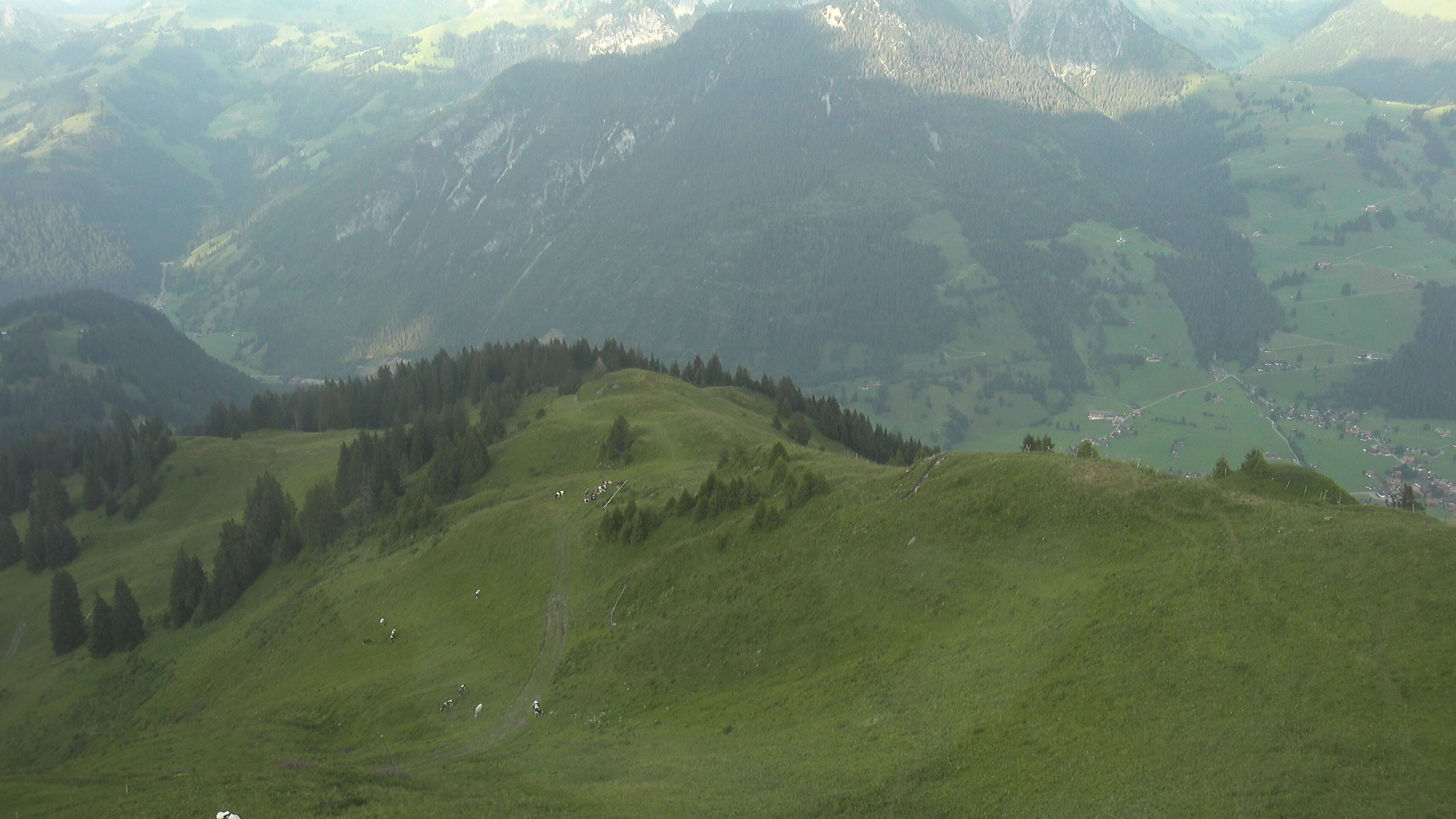 Zweisimmen: Gstaad - Rinderberg Spitz, Piste