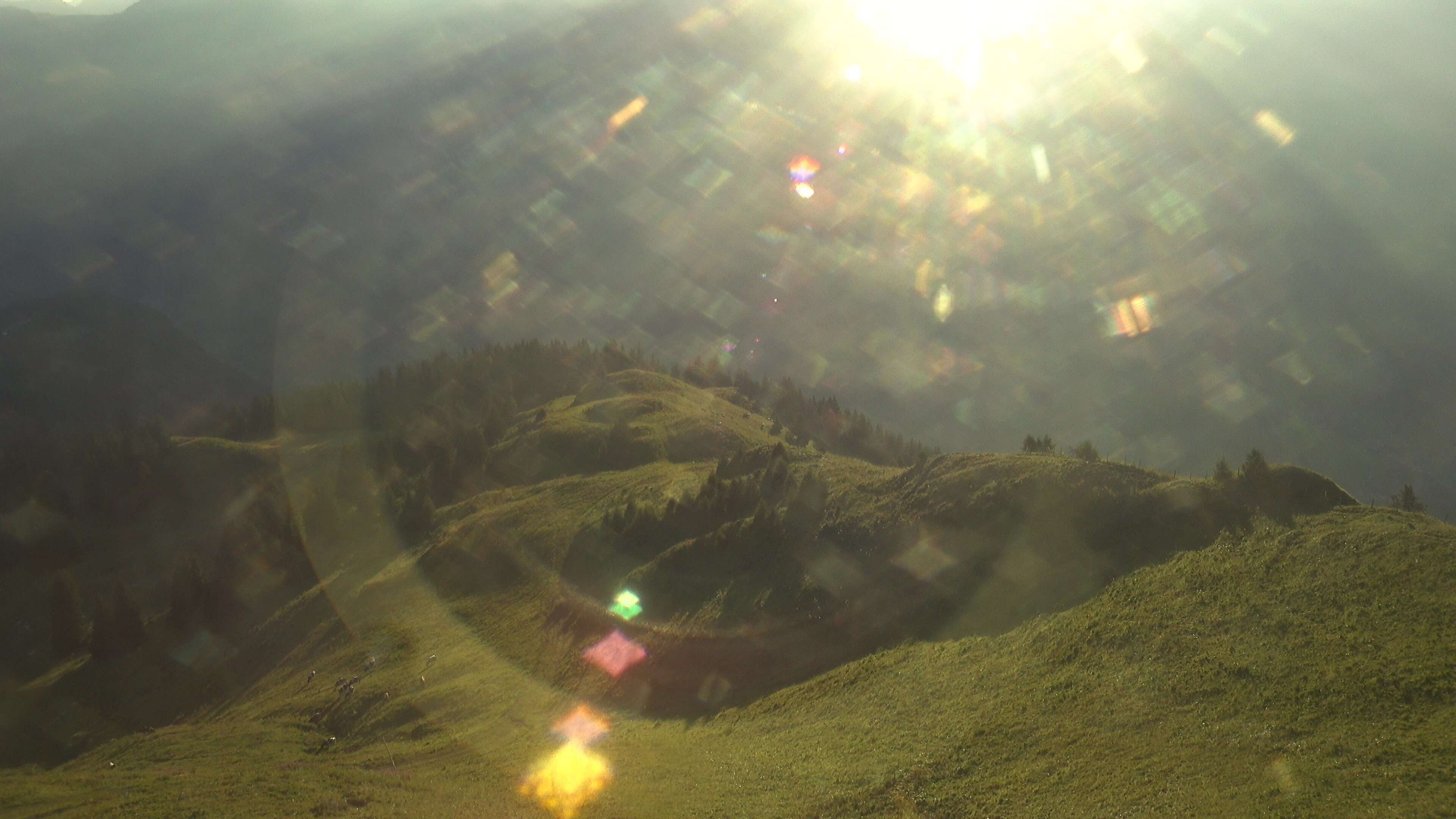 Zweisimmen: Gstaad - Rinderberg Spitz, Piste