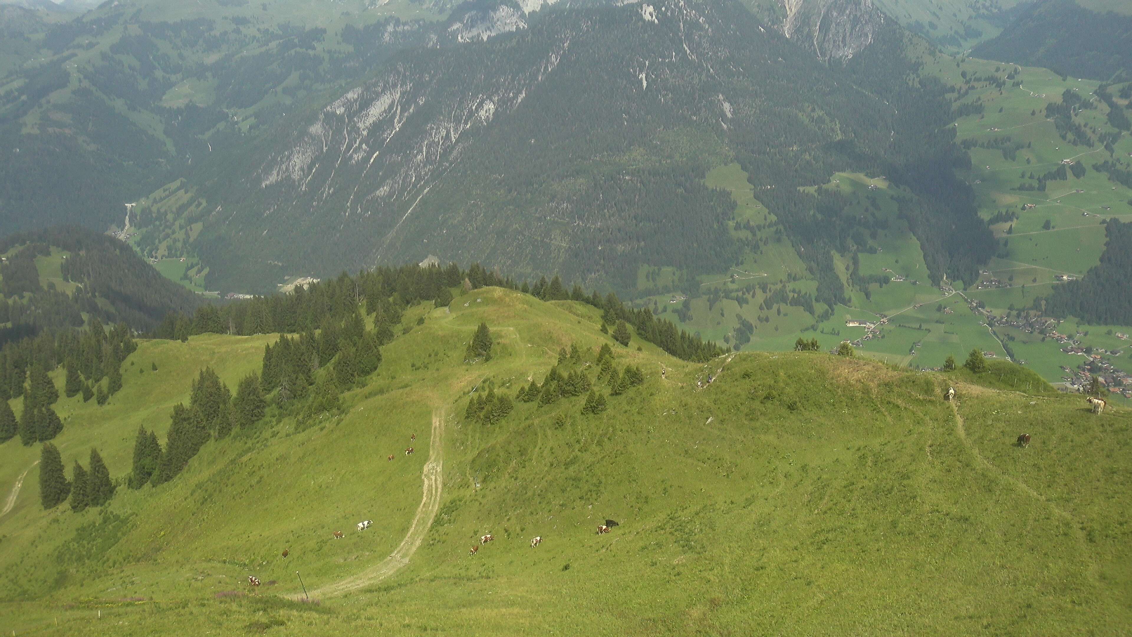 Zweisimmen: Gstaad - Rinderberg Spitz, Piste