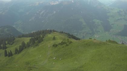 Zweisimmen: Gstaad - Rinderberg Spitz, Piste