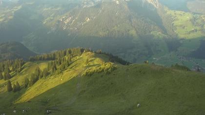 Zweisimmen: Gstaad - Rinderberg Spitz, Piste