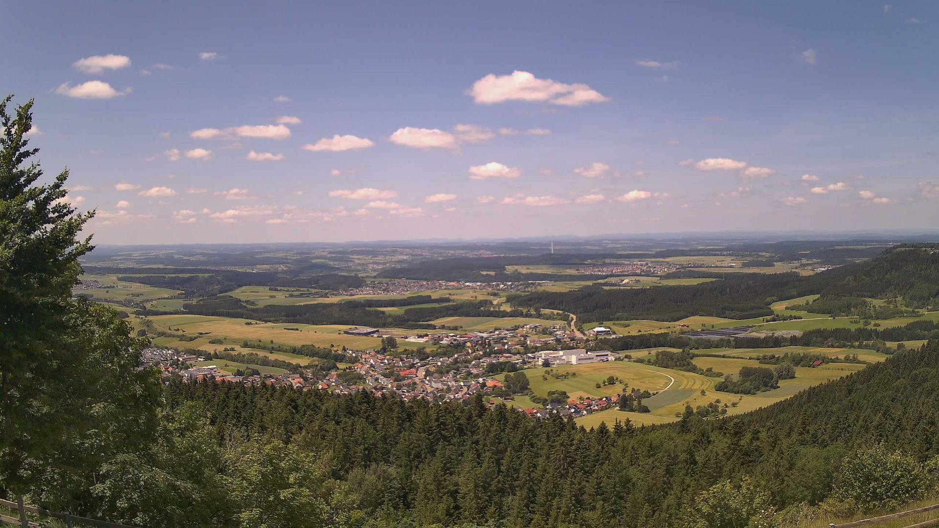 Frittlingen forest Webcam