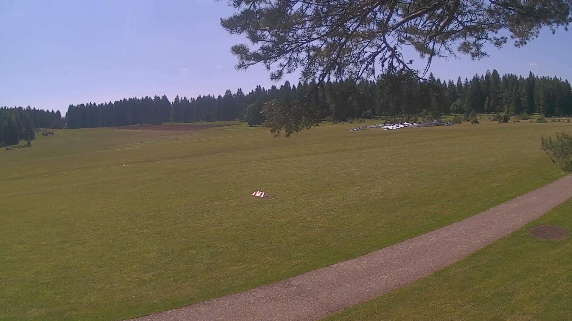 Frittlingen forest Webcam