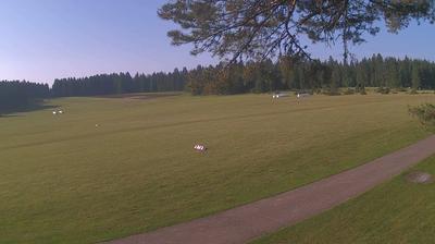 Wehingen forest webcam