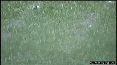 Mogi das Cruzes hoje Mogi das Cruzes hoje