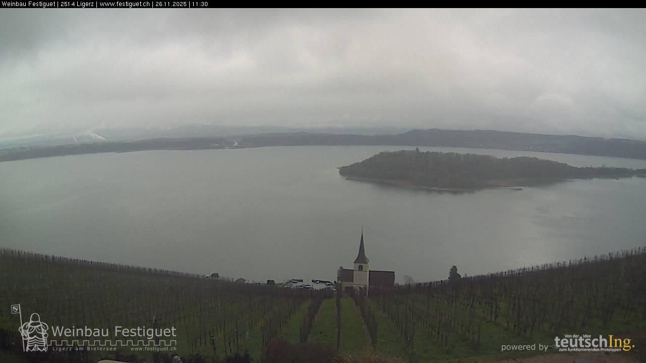 Ligerz: Lake Biel - St. Peter's Island