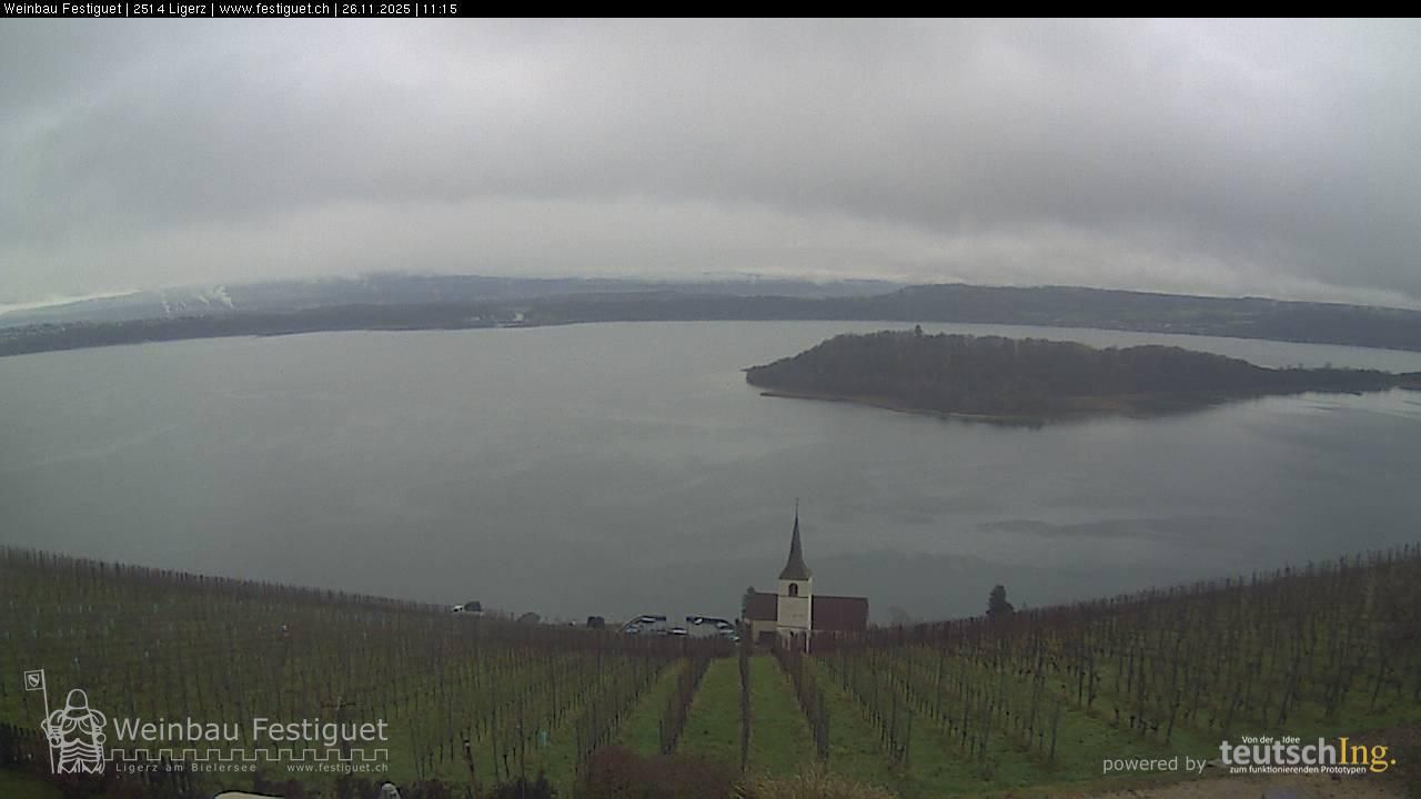 Ligerz: Lake Biel - St. Peter's Island