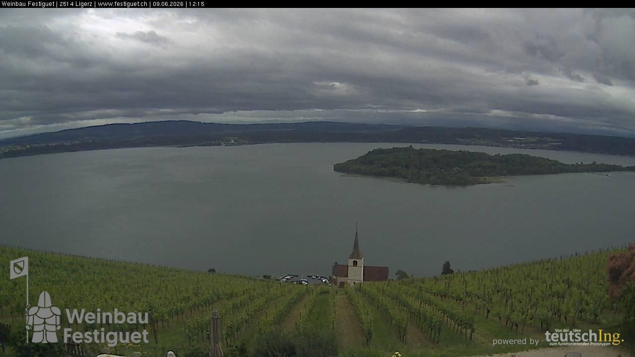 Ligerz: Lake Biel - St. Peter's Island