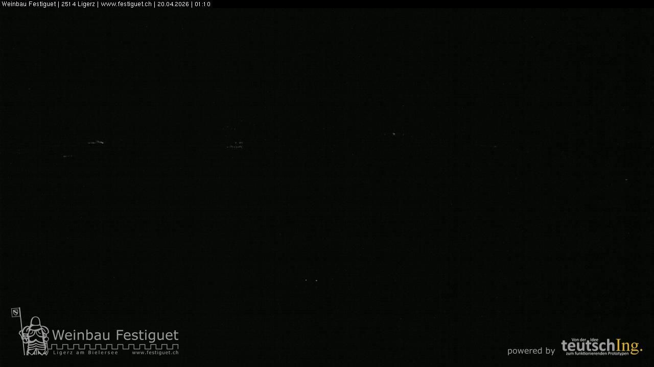 Ligerz: Lake Biel - St. Peter's Island