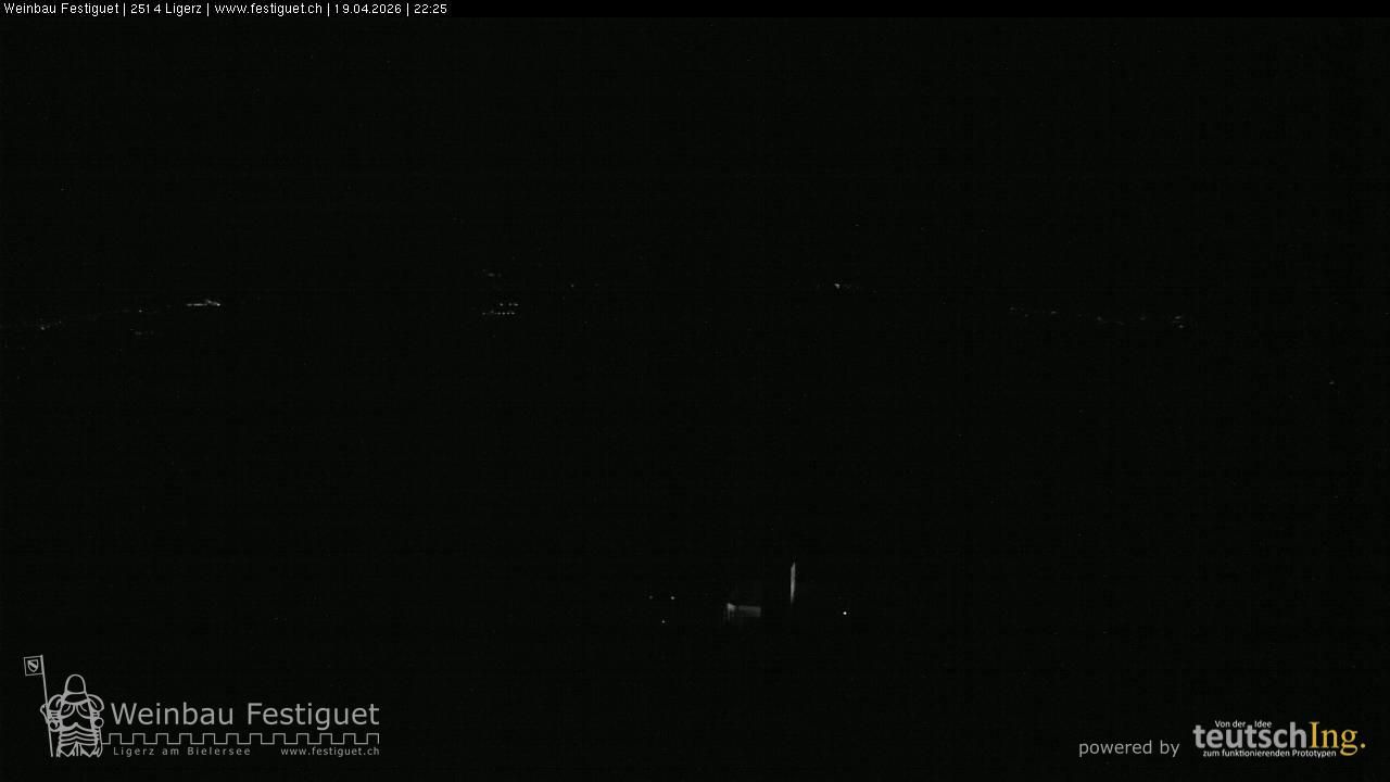 Ligerz: Lake Biel - St. Peter's Island