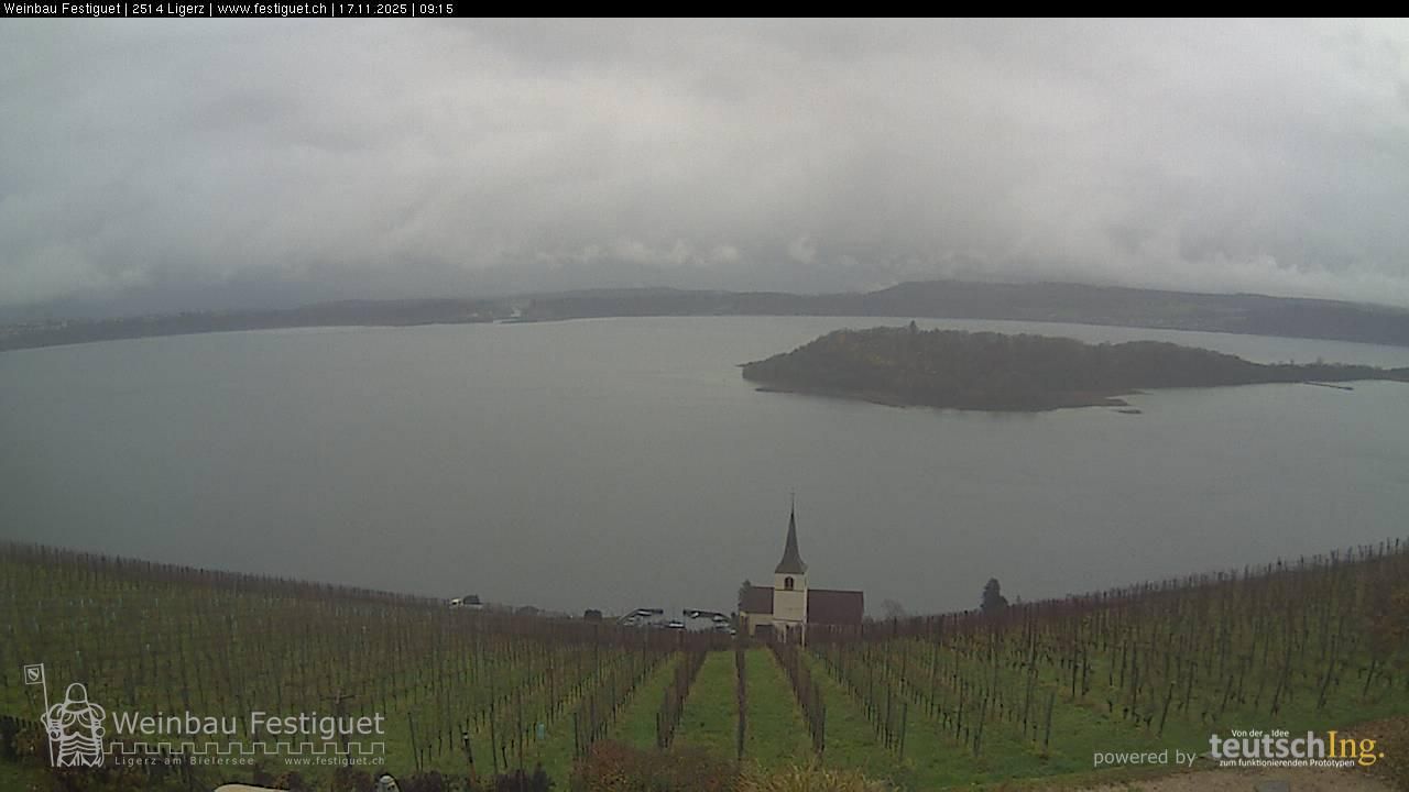 Ligerz: Lake Biel - St. Peter's Island