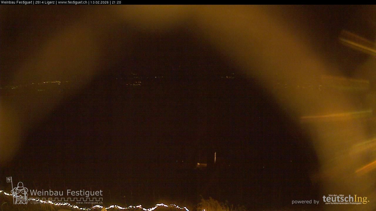 Ligerz: Lake Biel - St. Peter's Island