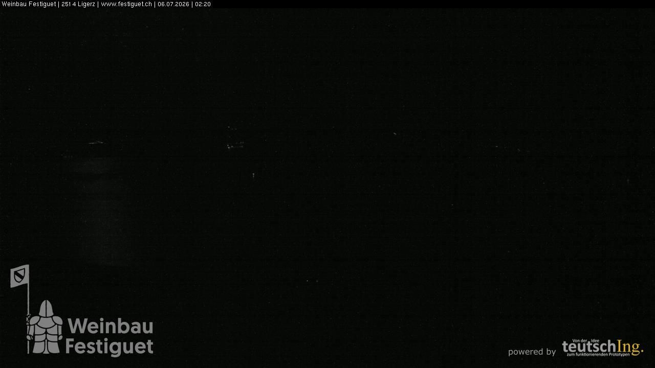 Ligerz: Lake Biel - St. Peter's Island