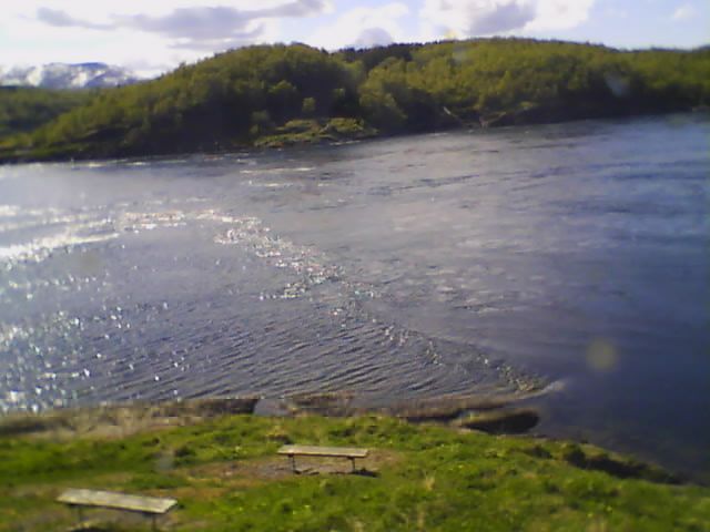 Saltstraumen › West: Nordland - − fra Kafe Kjelen mot Oksbåsen