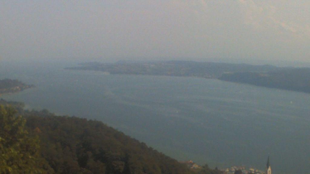 Bodman Ludwigshafen forest Webcam