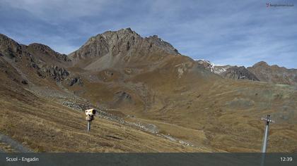 Scuol: Schlivera