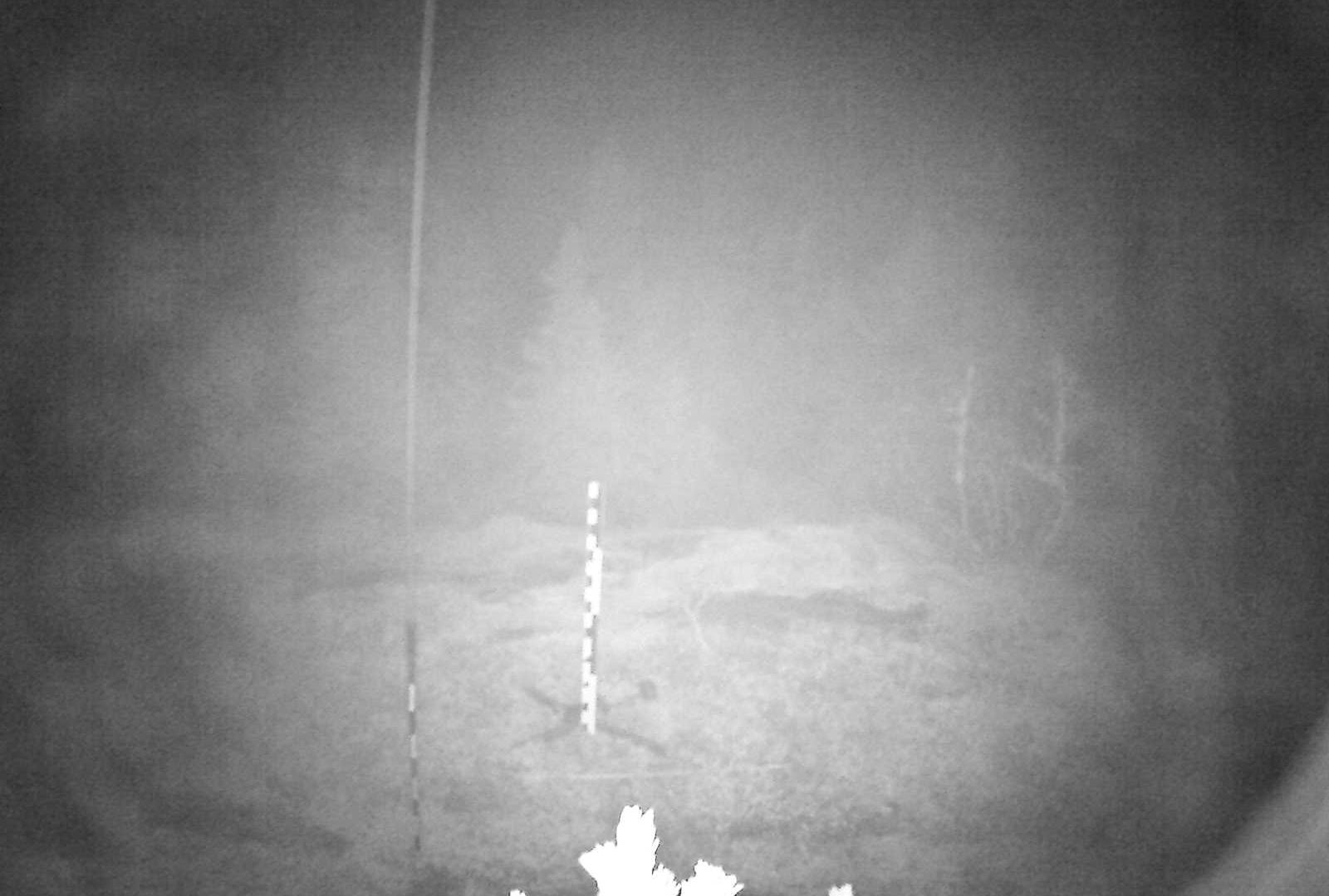 Webcam Kyrkjebygheia, Nissedal, Telemark, Norwegen