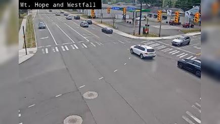 Traffic Cam Rochester: Mt Hope Ave at Westfall Rd
