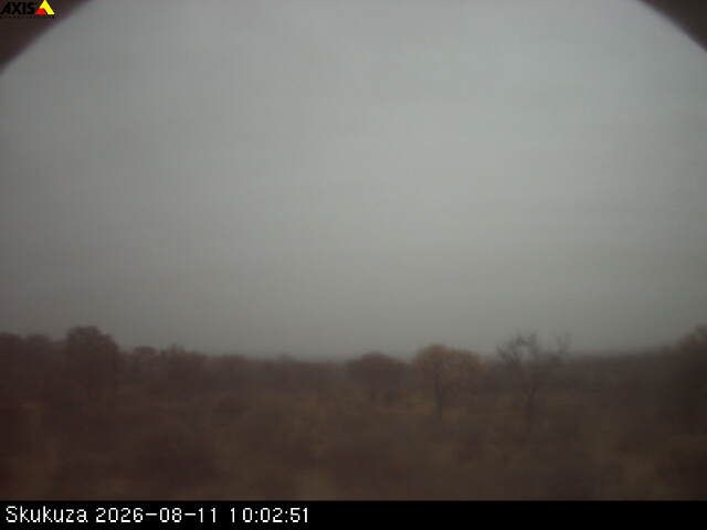 Skukuza webcam