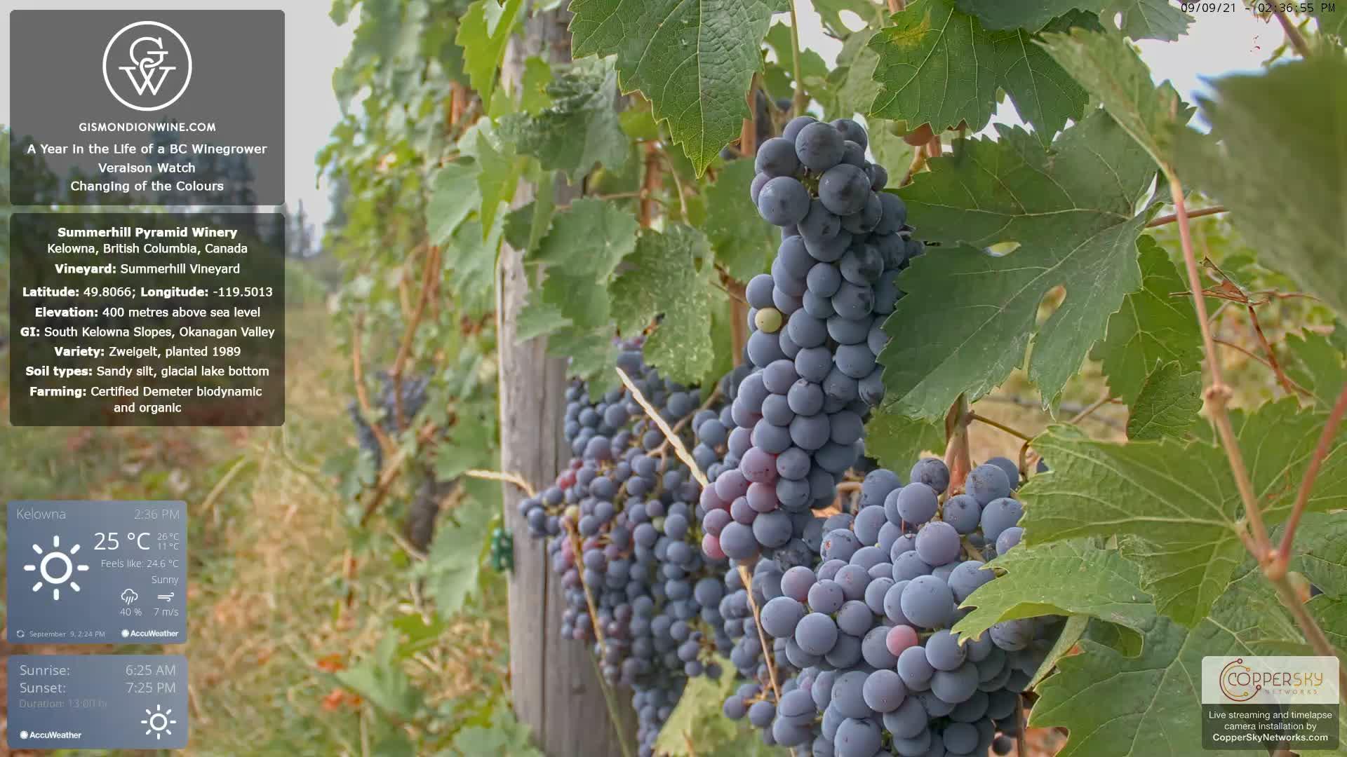 Traffic Cam Kelowna › West: Summerhill Pyramid Winery