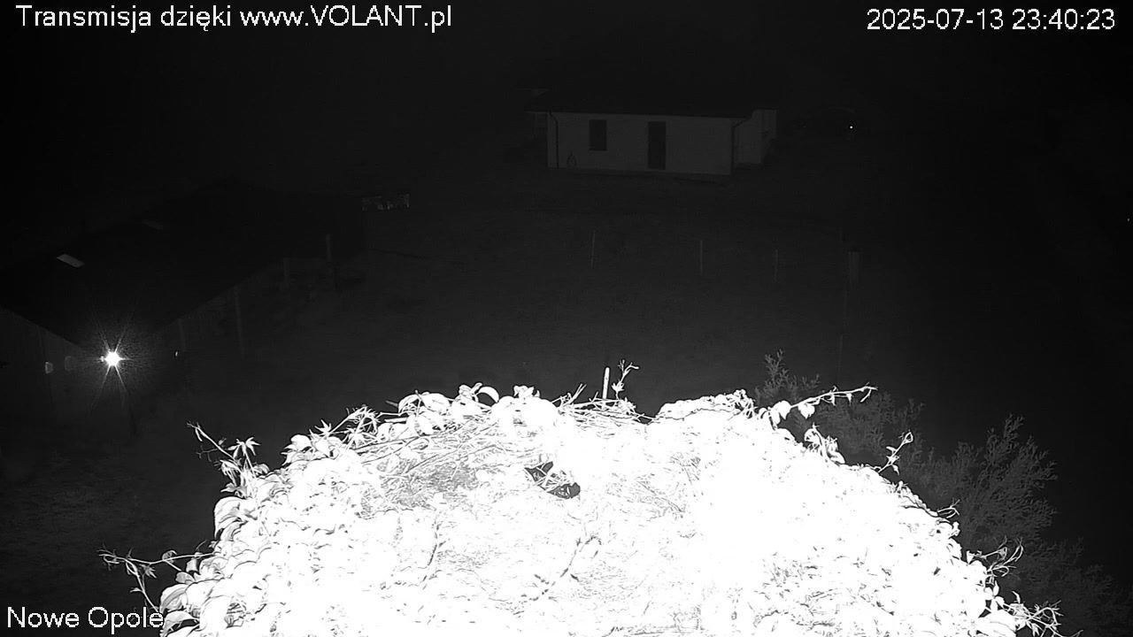 Traffic Cam Nowe Opole