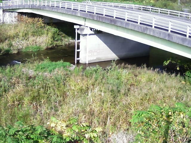 Shimizu webcam