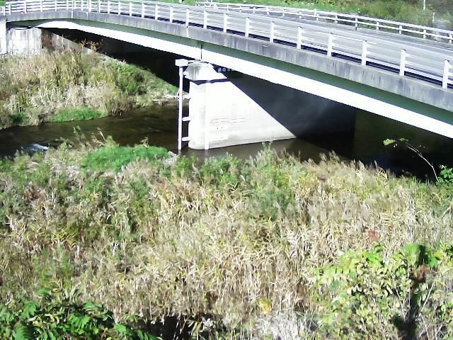 Shimizu webcam