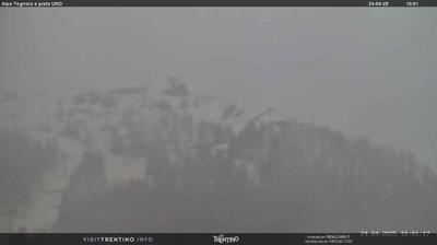 Preview delle webcam di Primiero San Martino di Castrozza: Alpe Tognola