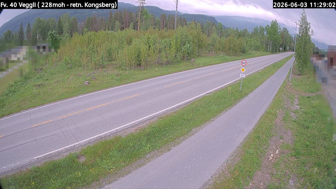 Rollag på dagtid