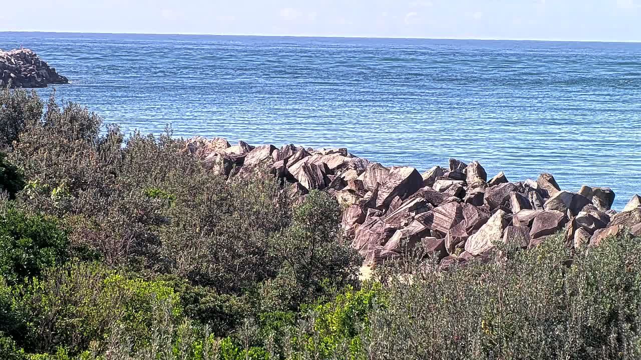 Yamba during daytime