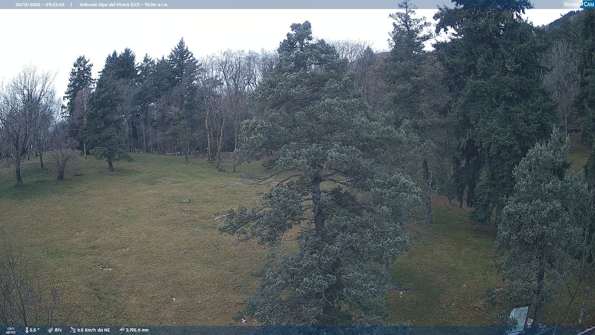 Traffic Cam Erba › West