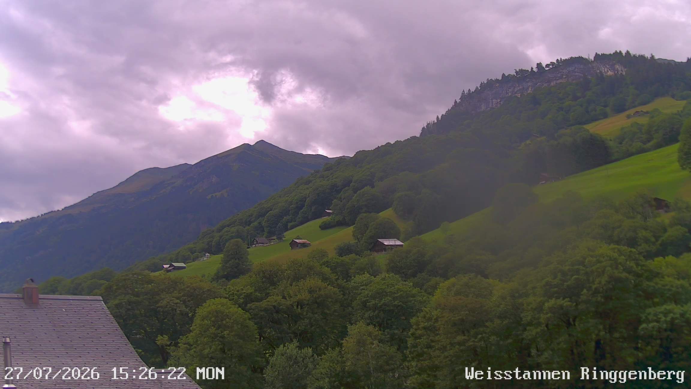 Mels: Weisstannen