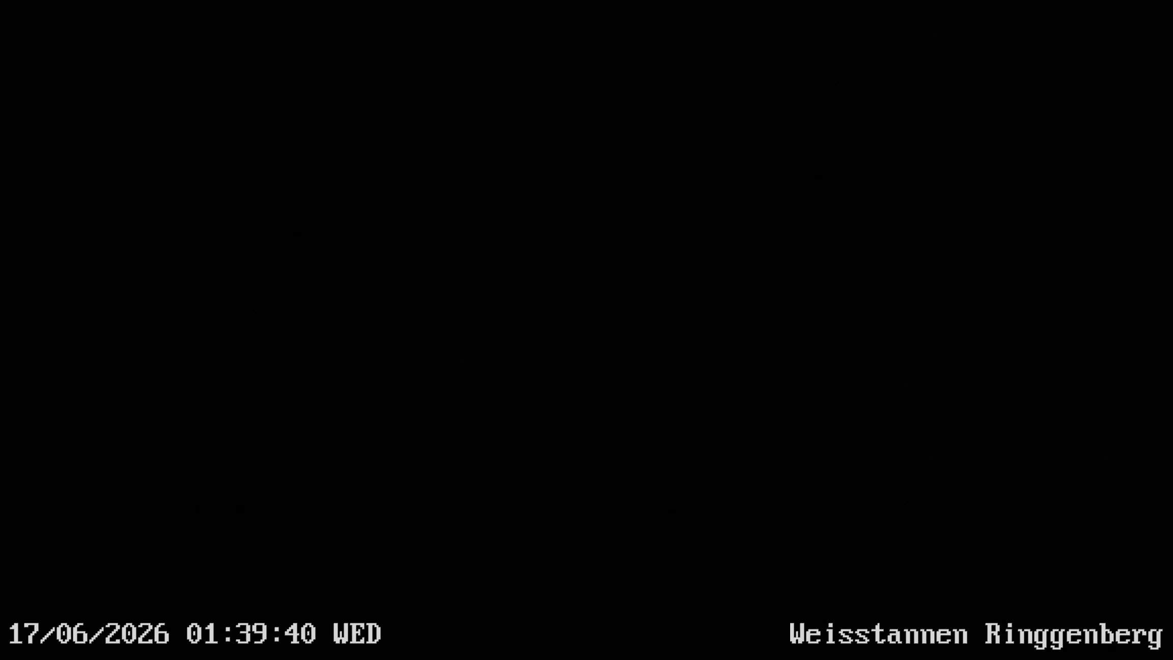 Mels: Weisstannen