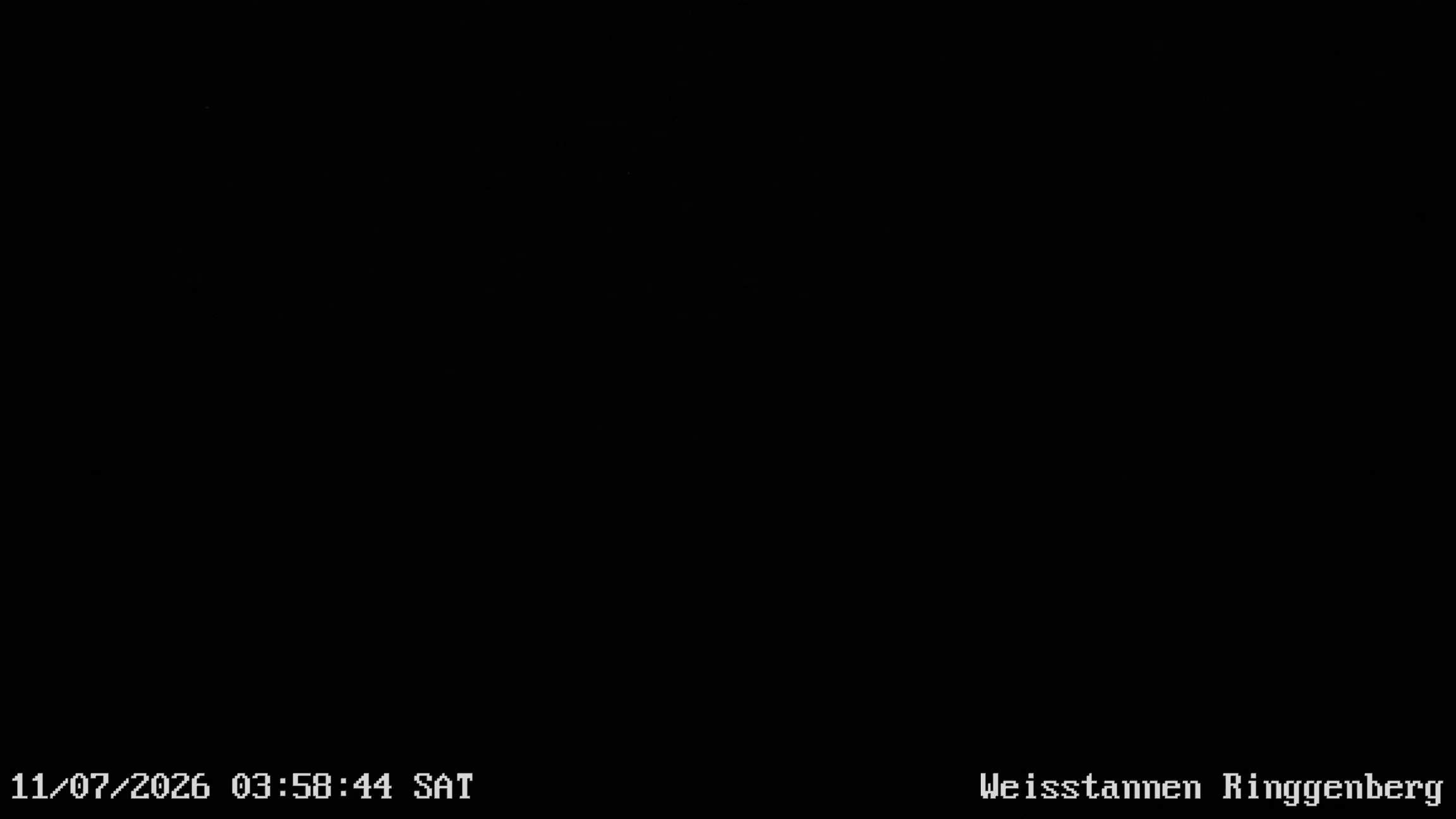 Mels: Weisstannen