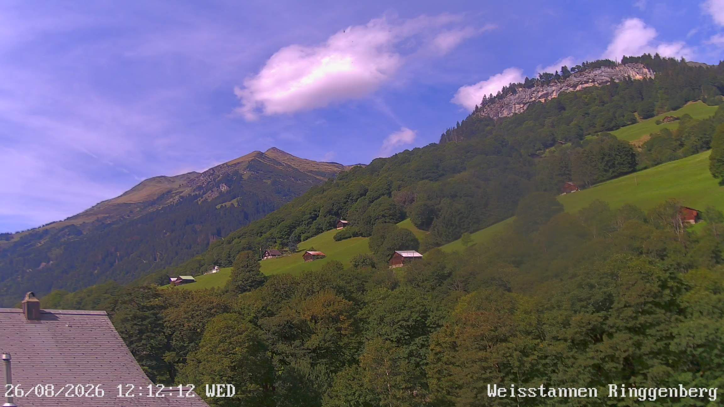 Mels: Weisstannen