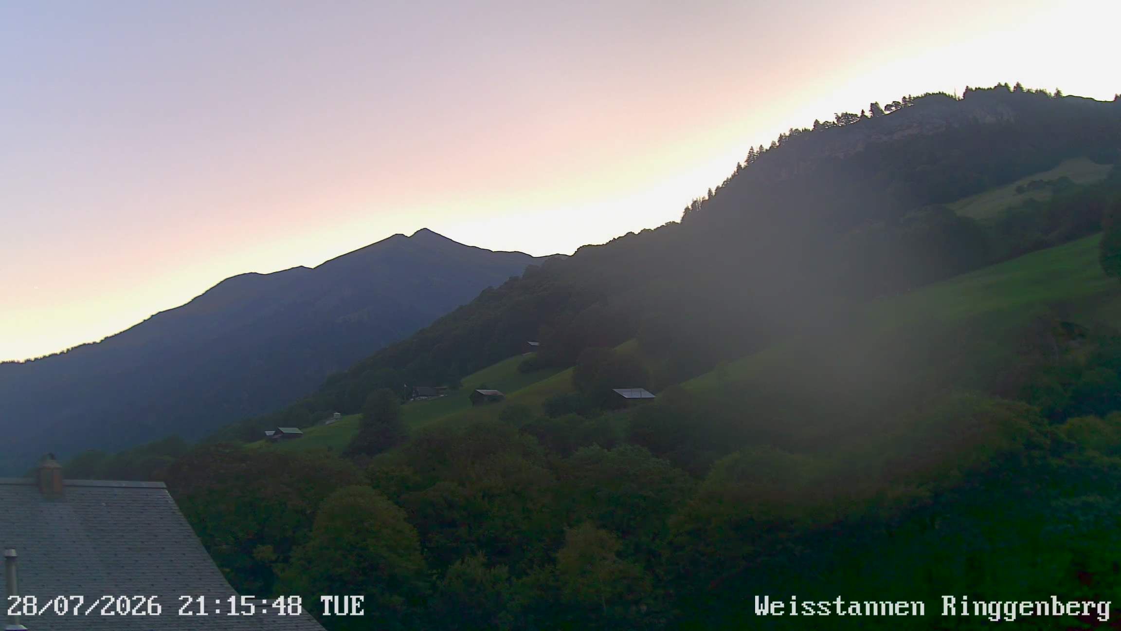 Mels: Weisstannen