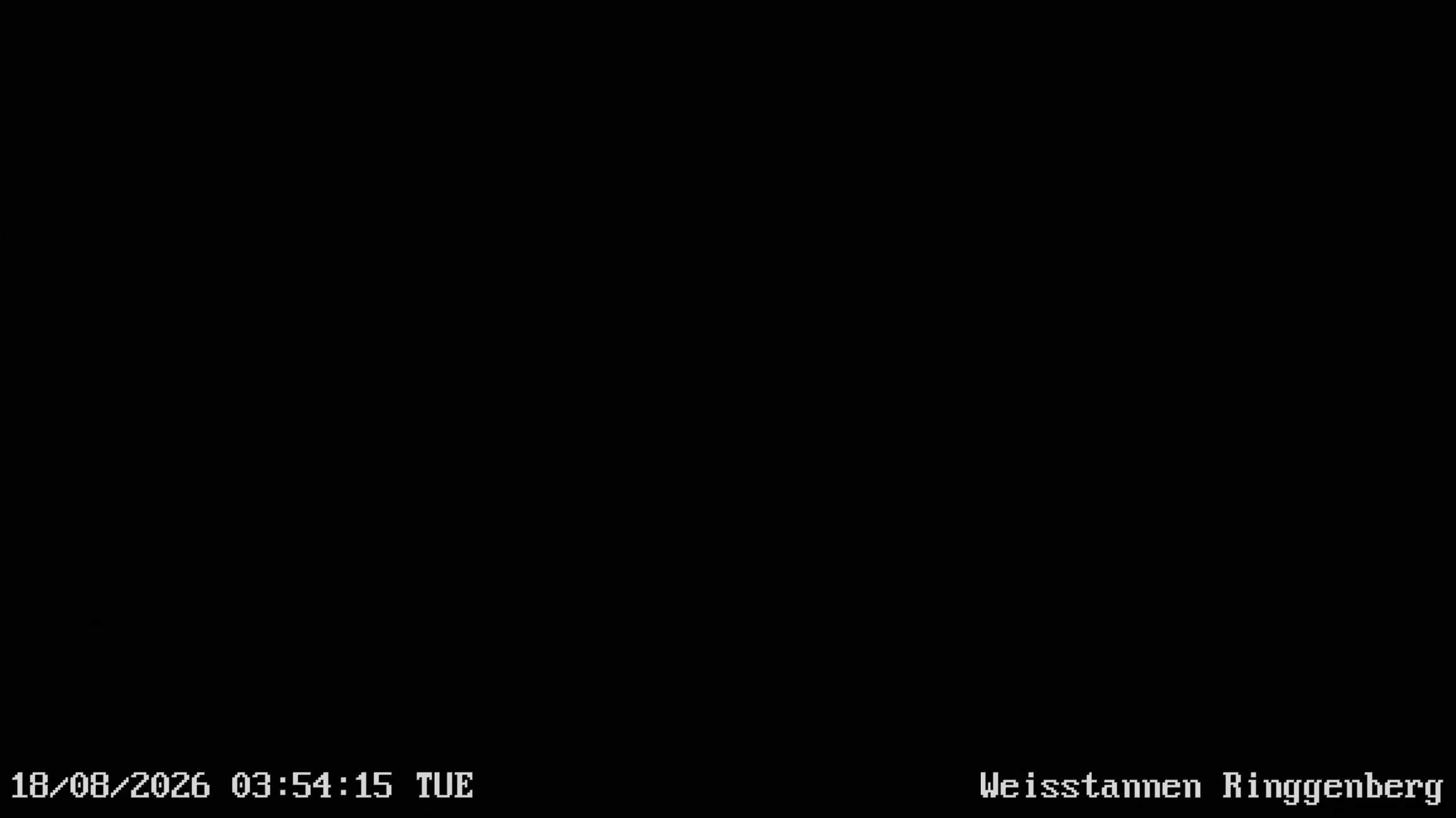Mels: Weisstannen