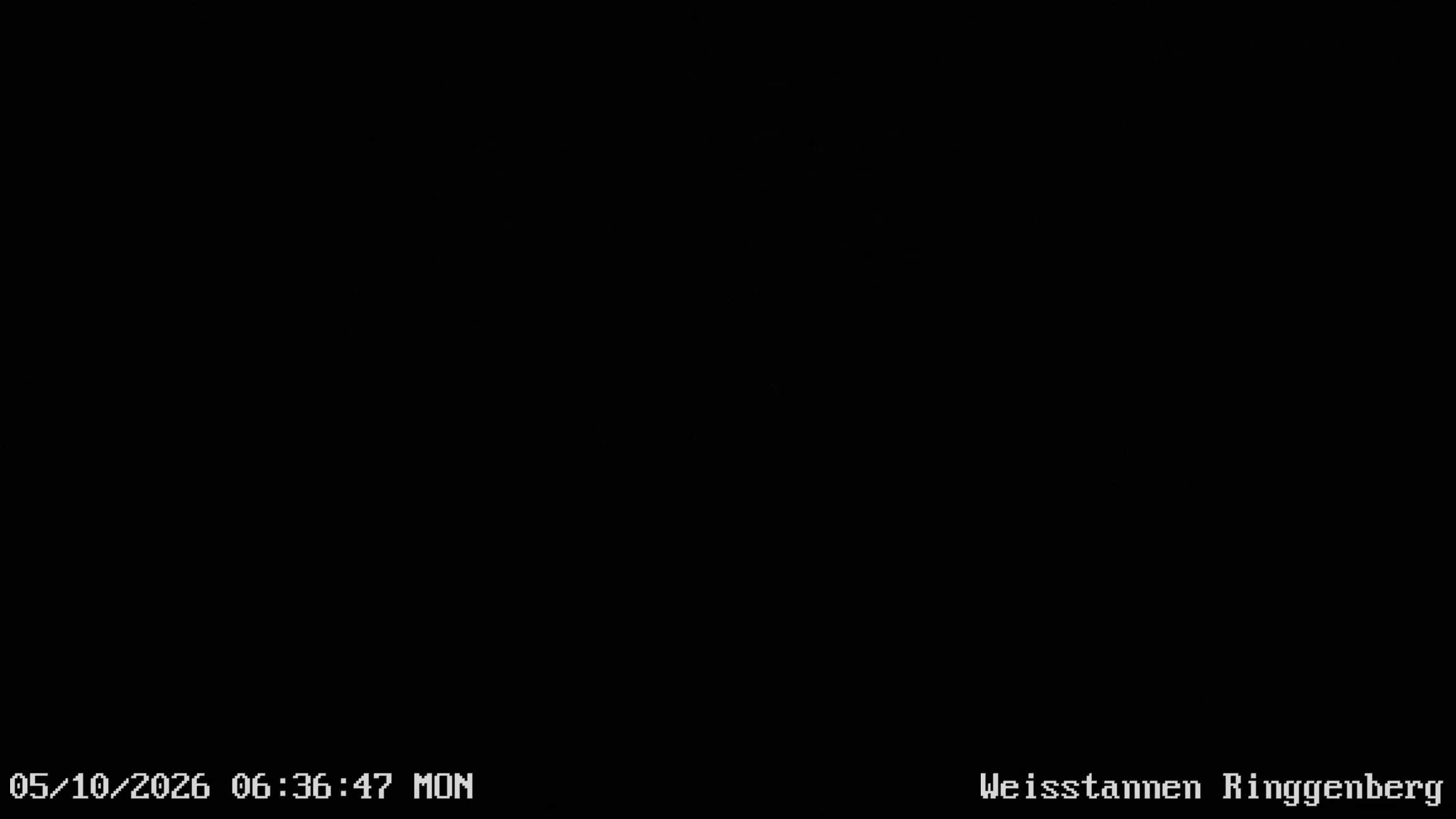 Mels: Weisstannen