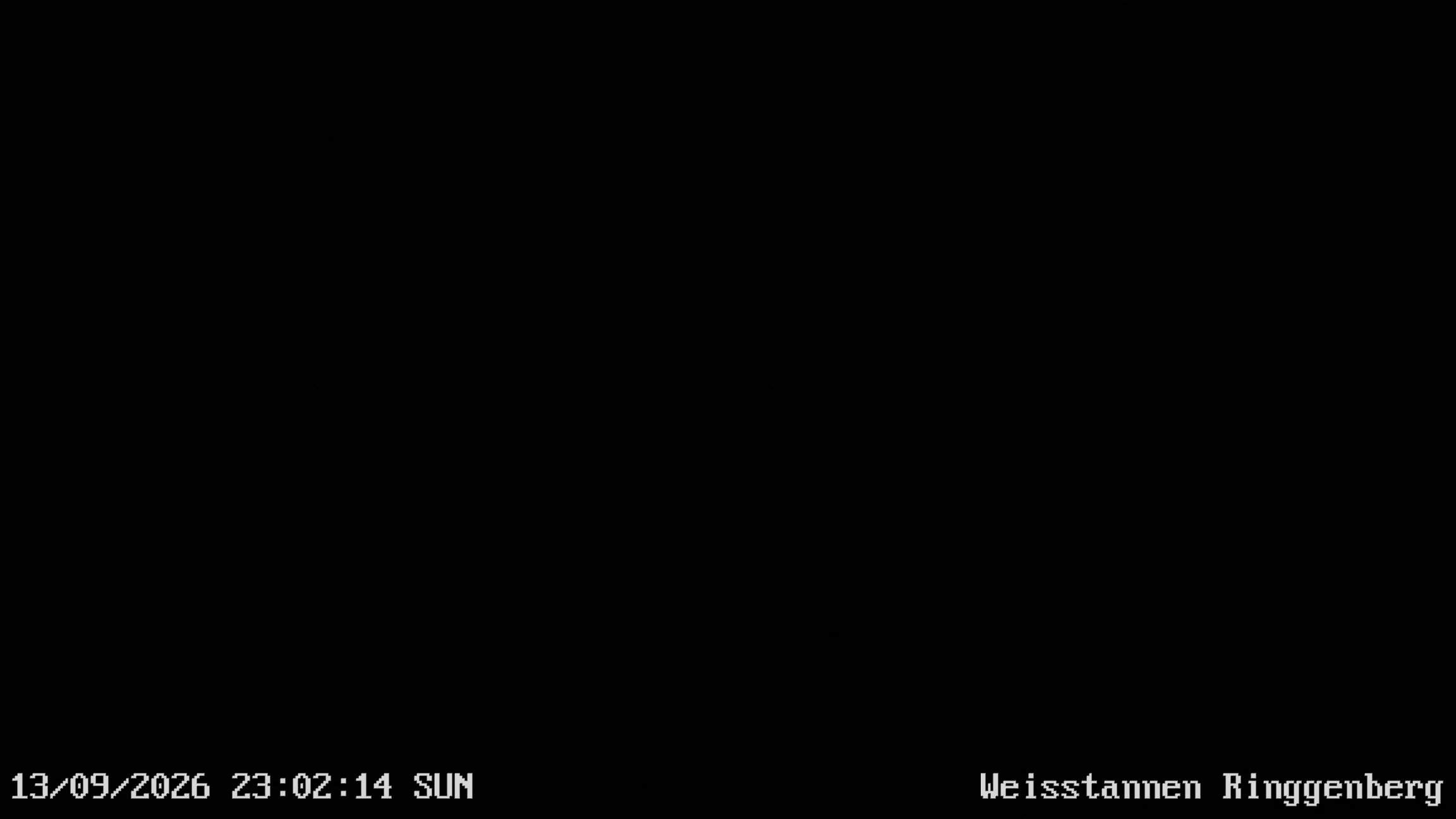 Mels: Weisstannen
