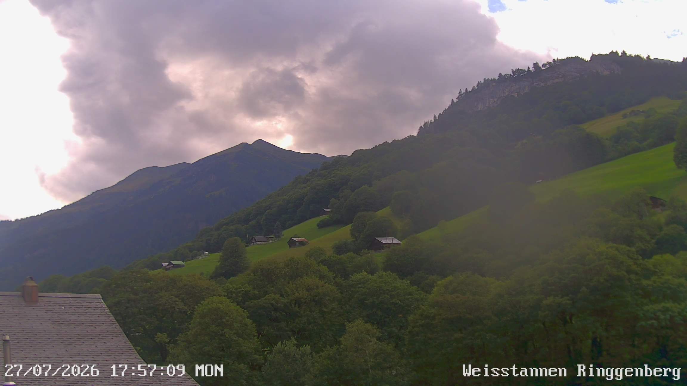Mels: Weisstannen