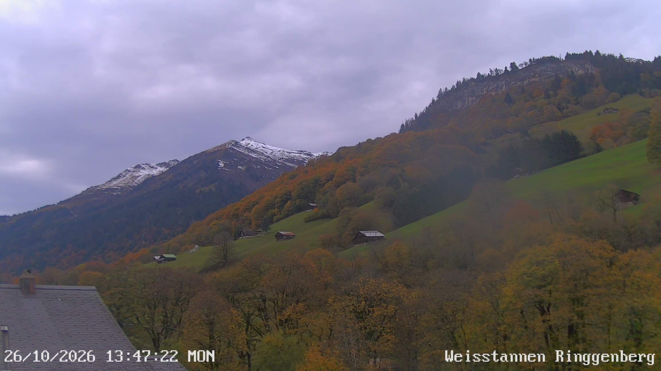 Mels: Weisstannen