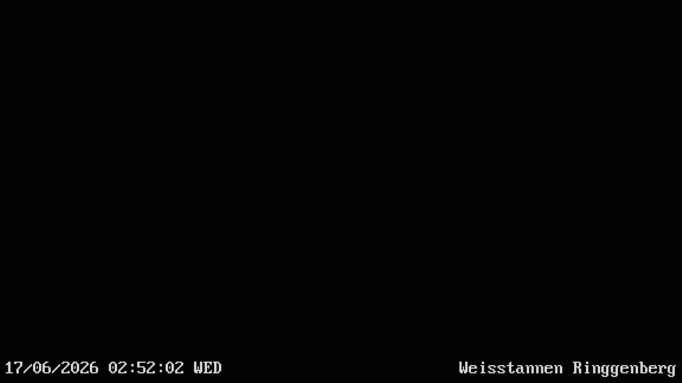 Mels: Weisstannen