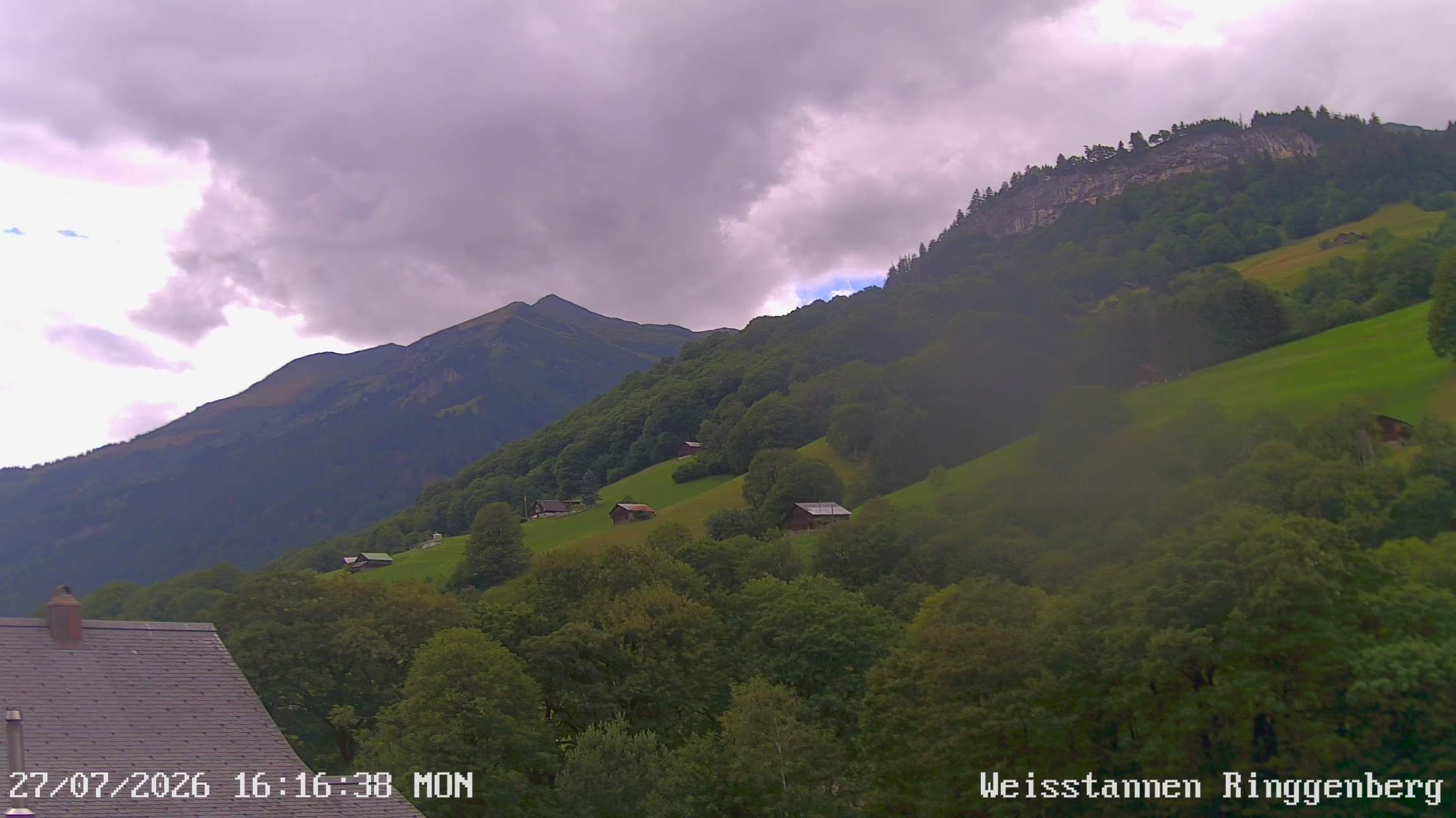 Mels: Weisstannen