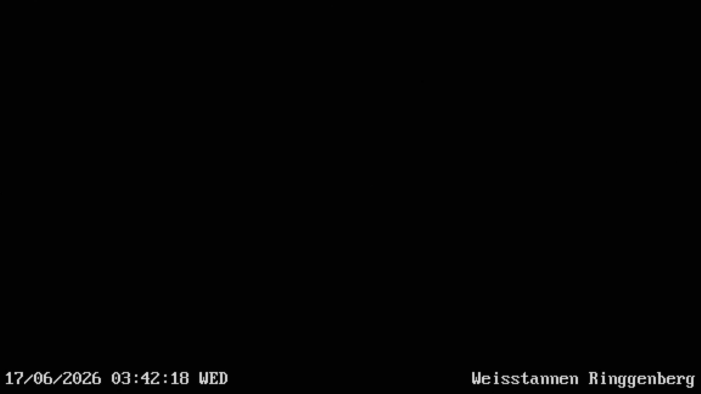 Mels: Weisstannen