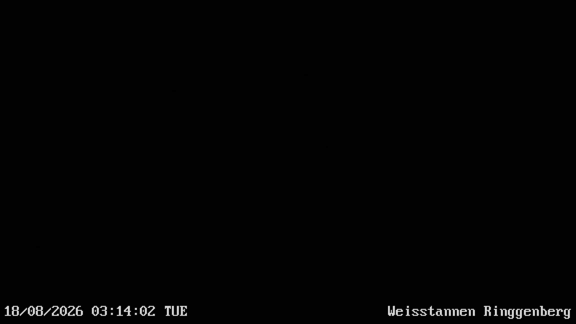 Mels: Weisstannen