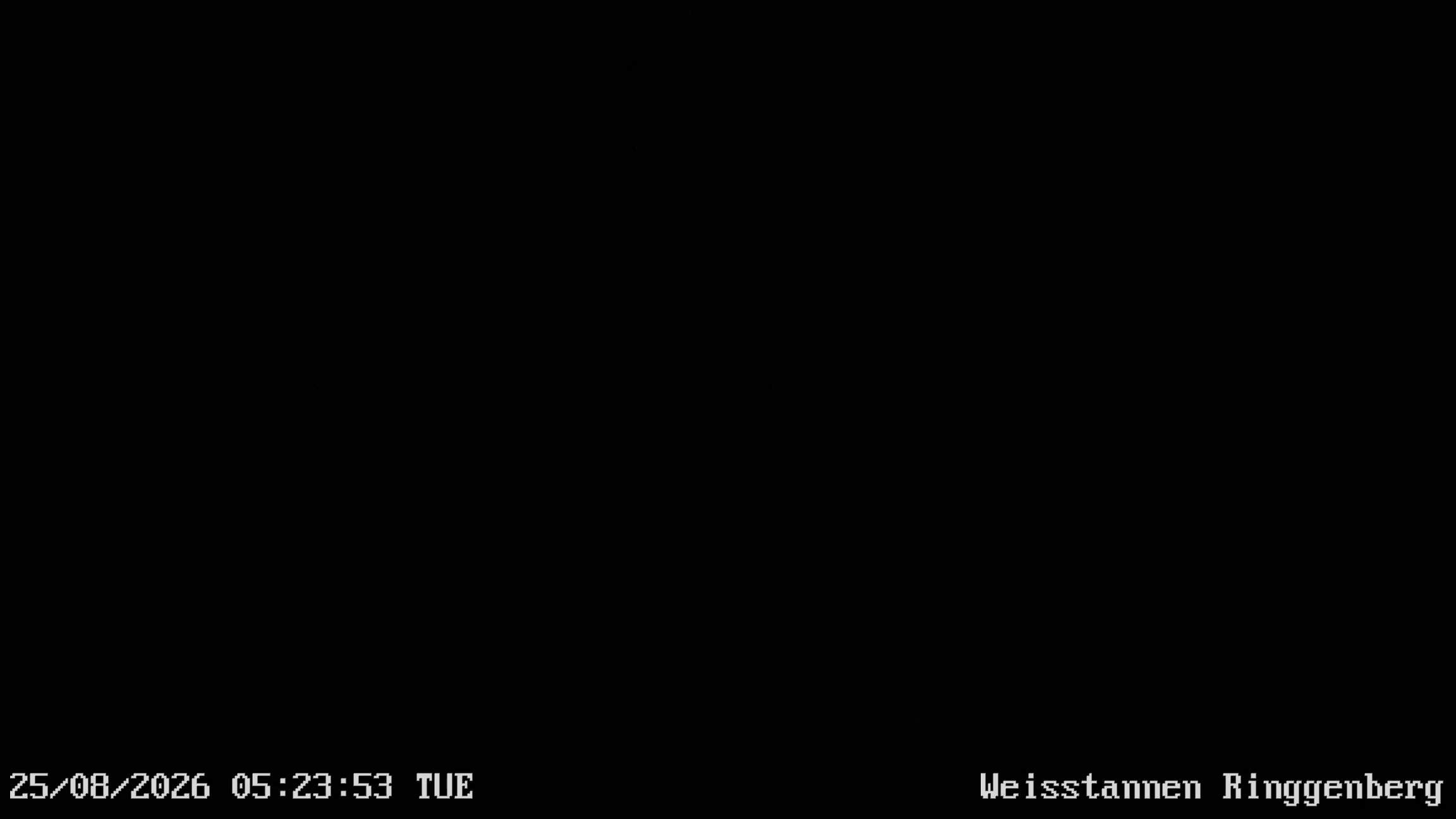 Mels: Weisstannen